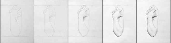 Bargue Drawing Step by Step