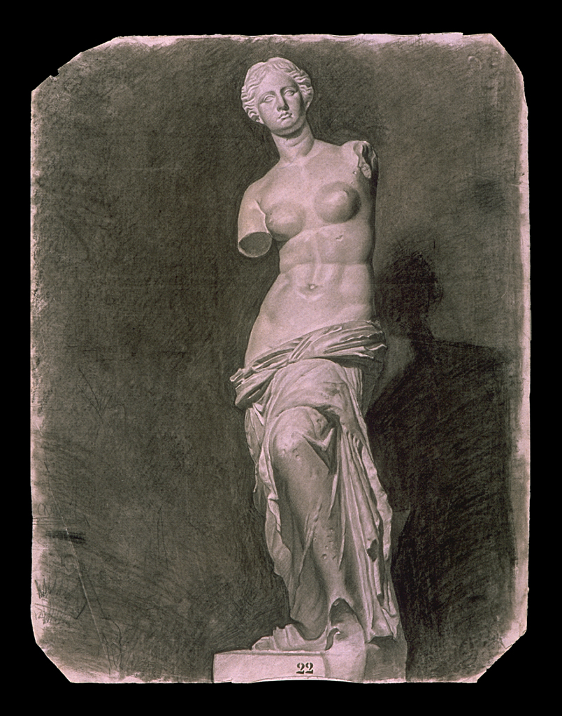 Classical Plaster Cast Drawing