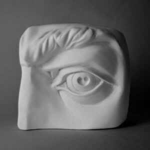 Plaster Cast for Cast Drawing - DAVID'S EYE